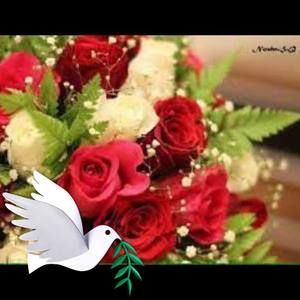 Meet your Posher, Manal